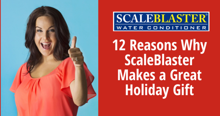 12 Reasons Why ScaleBlaster Makes a Great Holiday Gift